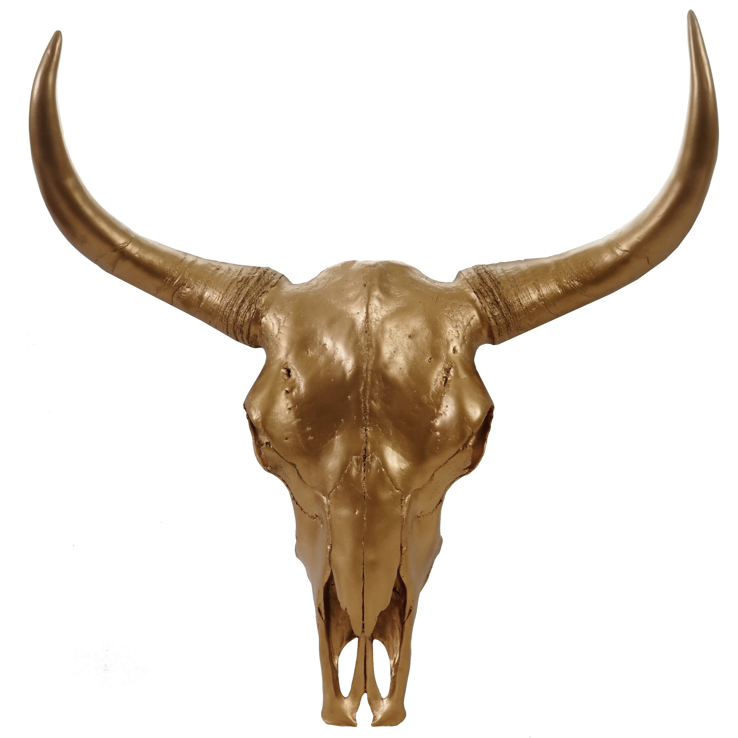 Decorative skull 64 cm, polyresin trophy bull bull longhorn head,  indoor/outdoor | eBay