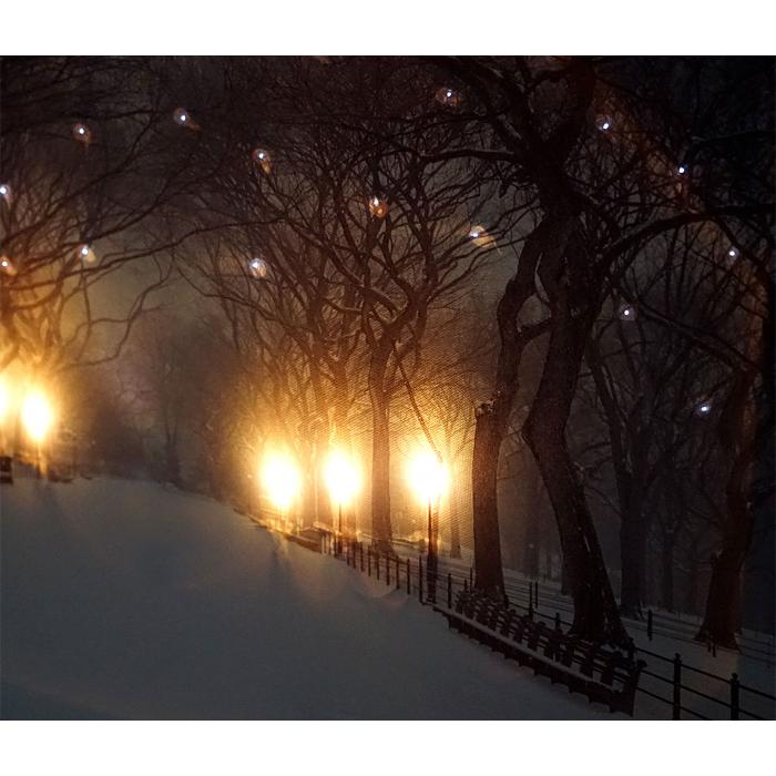 2x LED-Bild Leinwandbild Leuchtbild Wandbild 40x60cm, Timer ~ Winter +  flackernd von Heute-Wohnen